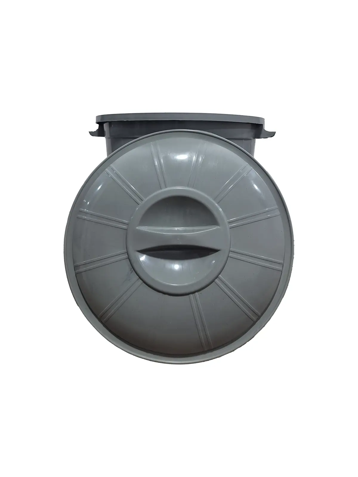 CKH 1170 - DUSTBIN 70 LT